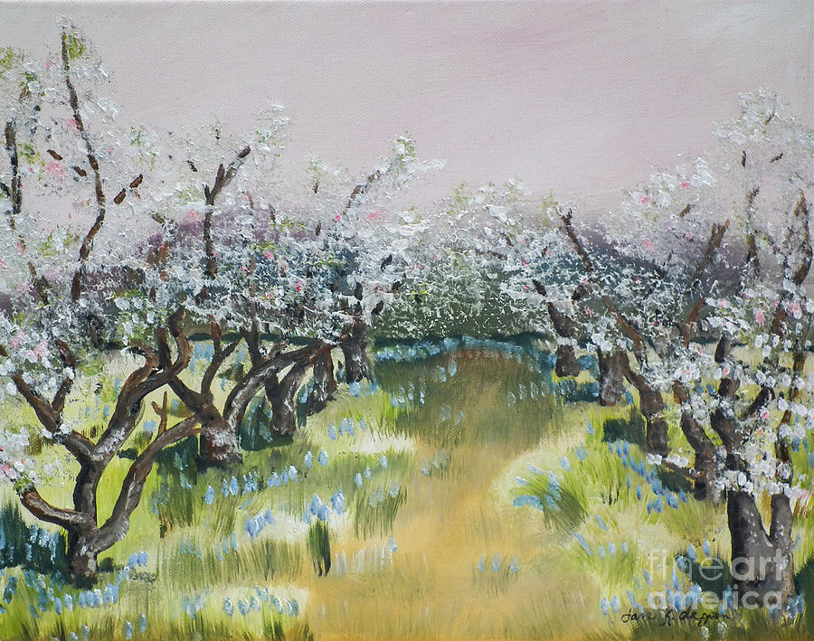 Apple Blossoms in Ellijay -Apple Trees - Blooming Painting by Jan Dappen
