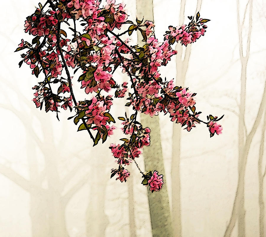 Apple Blossoms in Fog Photograph by Brooke T Ryan