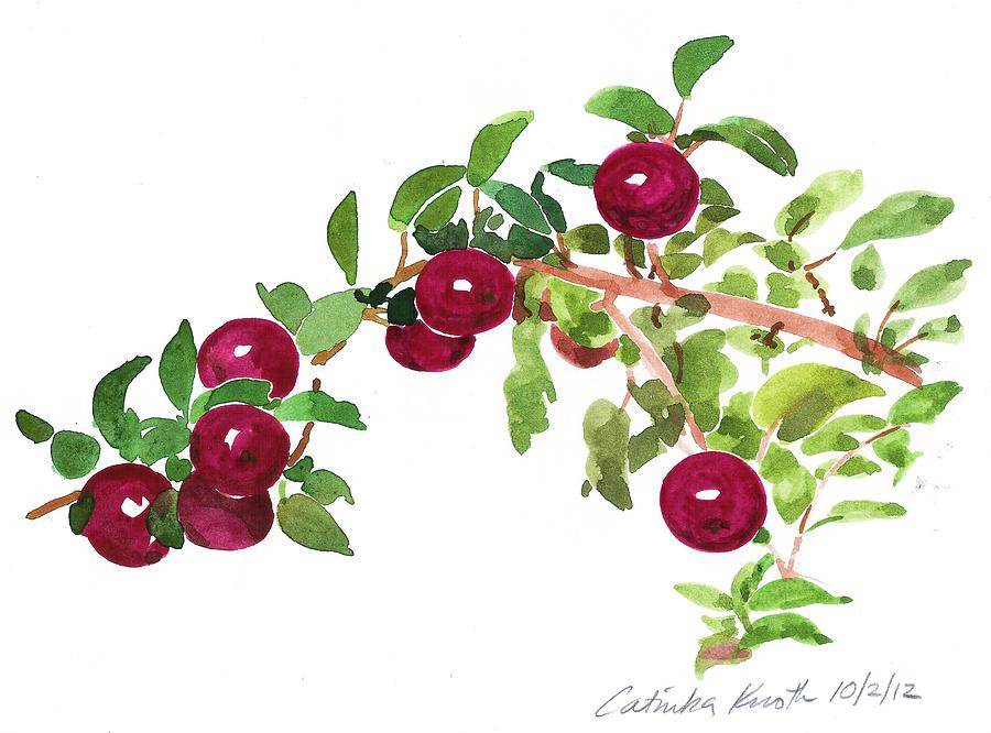 Apple Bough watercolor Painting by Catinka Knoth