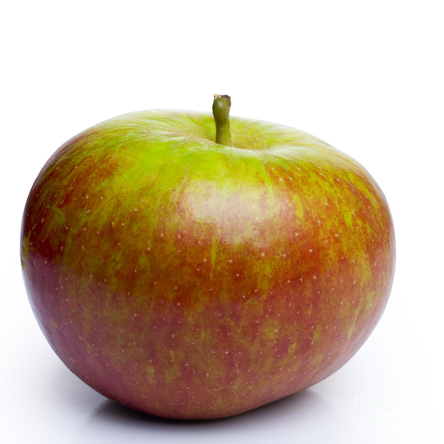 Apple Photograph - Apple by Colin and Linda McKie