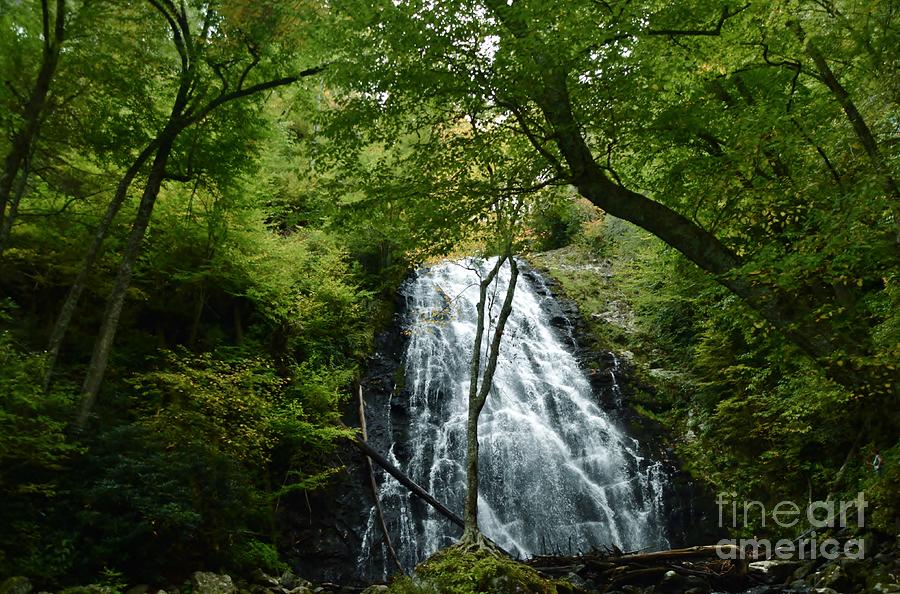 Apple Creek Falls Photograph