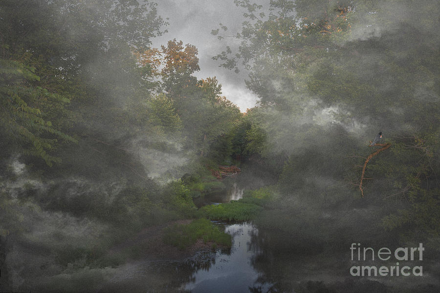 Cool Photograph - Apple Creek  by Larry Braun
