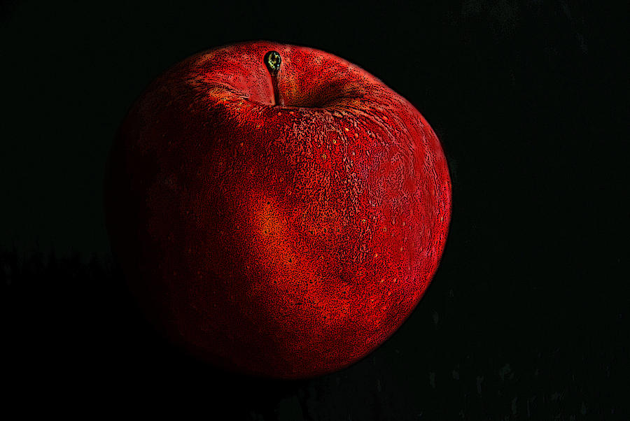 Apple  Photograph by Dragan Kudjerski