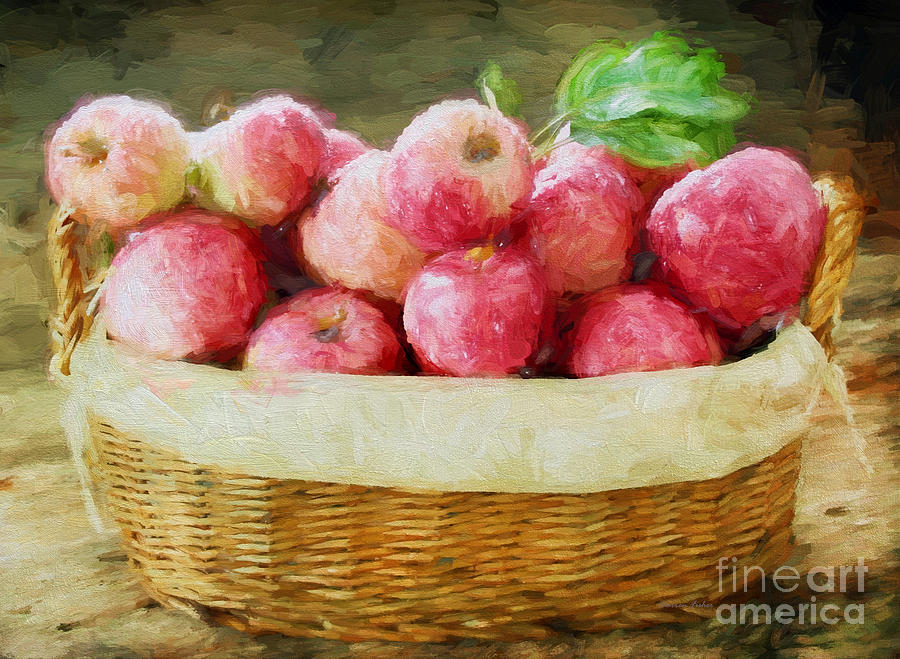 Fall Photograph - Apple Harvest by Darren Fisher