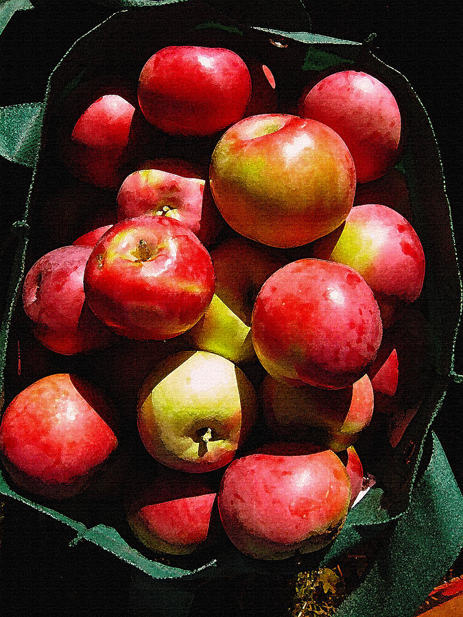 Apple Harvest Photograph by Kathy Bassett