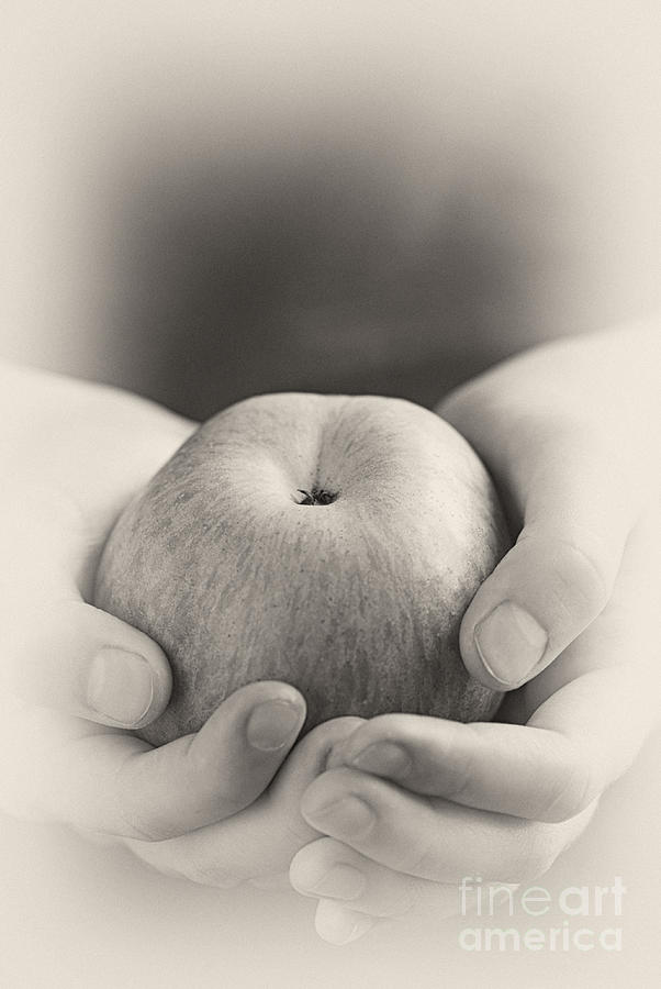 Apple Photograph - Apple in hands by Elena Elisseeva