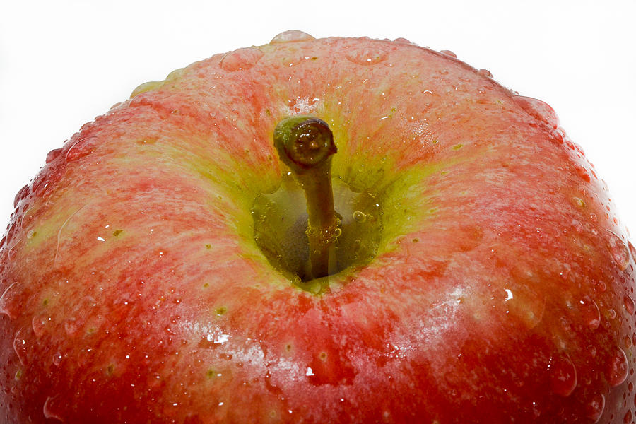 Nature Photograph - Apple by Jose Mena