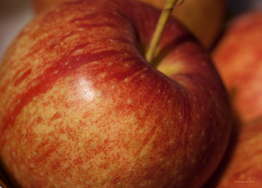 Apple Photograph - Apple by Miguel Winterpacht