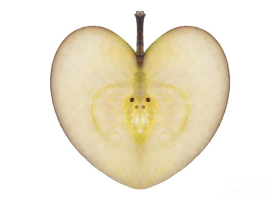 Apple Of Love Photograph by Michal Boubin