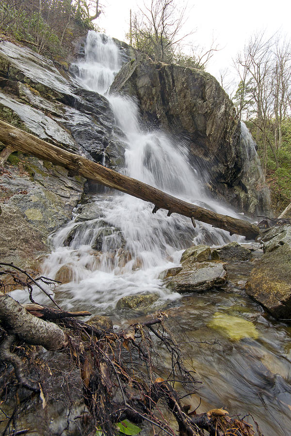 Apple Orchard Falls Spring Photograph by Alan Raasch