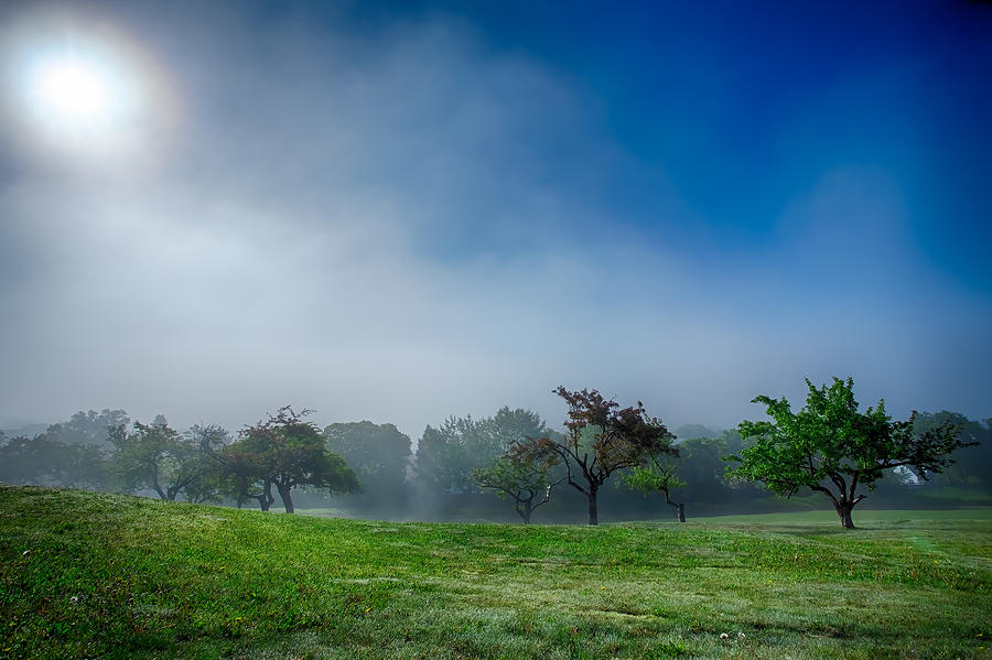 Nature Photograph - Apple Orchard Receeding Fog  by Jakub Sisak