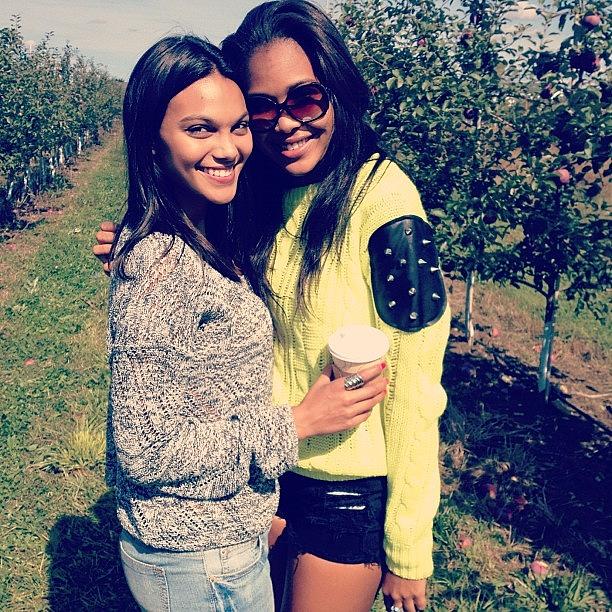 Apple Picking At Abbott Farms!! Photograph by Drew Thomas