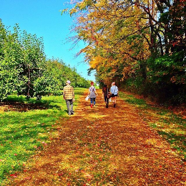 Fall Photograph - Apple Picking #middleearth #adventure by Mike Heslin
