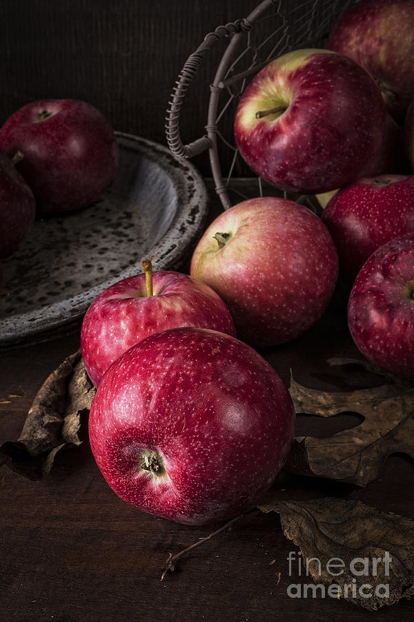 Apple Photograph - Apple Still Life by Edward Fielding