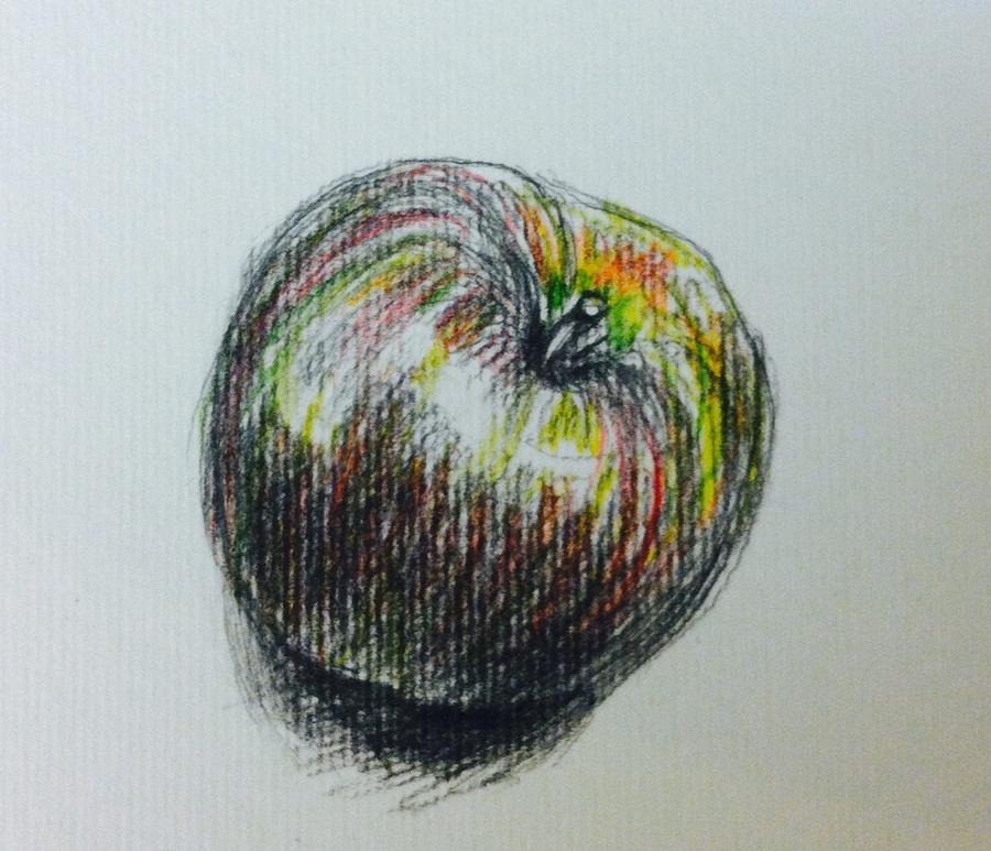 Apple study  Drawing by Hae Kim