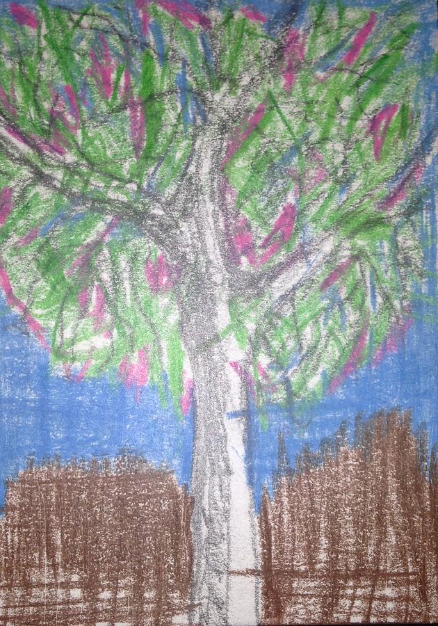Apple Tree Drawing by Erika Jean Chamberlin