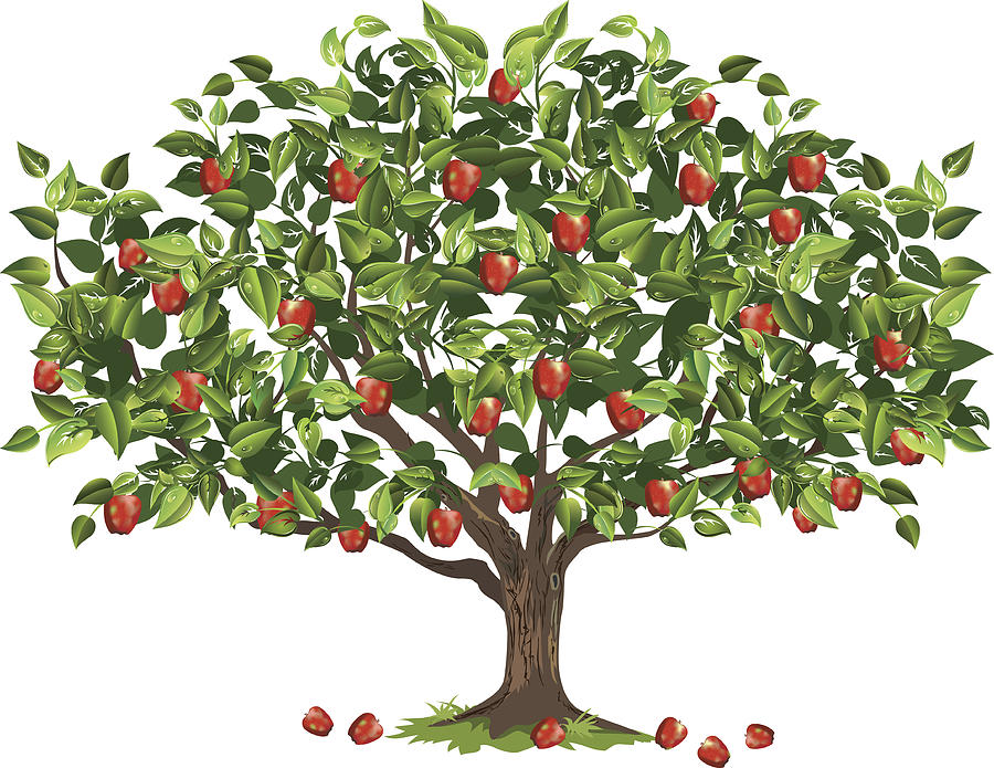 Apple Tree Filled With Ripe Fruit Ready For Harvest Drawing by Diane Labombarbe Apple Tree Filled With Ripe Fruit Ready For Harvest Drawing by Diane Labombarbe