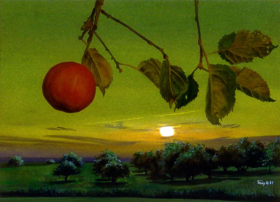 Стихотворение ночь упаданья яблок. Картина яблоки. Яблоня живопись. Яблоня картина. Яблоки на ветке живопись.