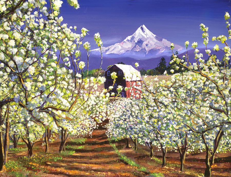 Appleblossoms Mount Hood Painting by David Lloyd Glover