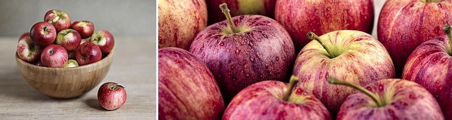 Fruit Photograph - Apples 02 by Nailia Schwarz