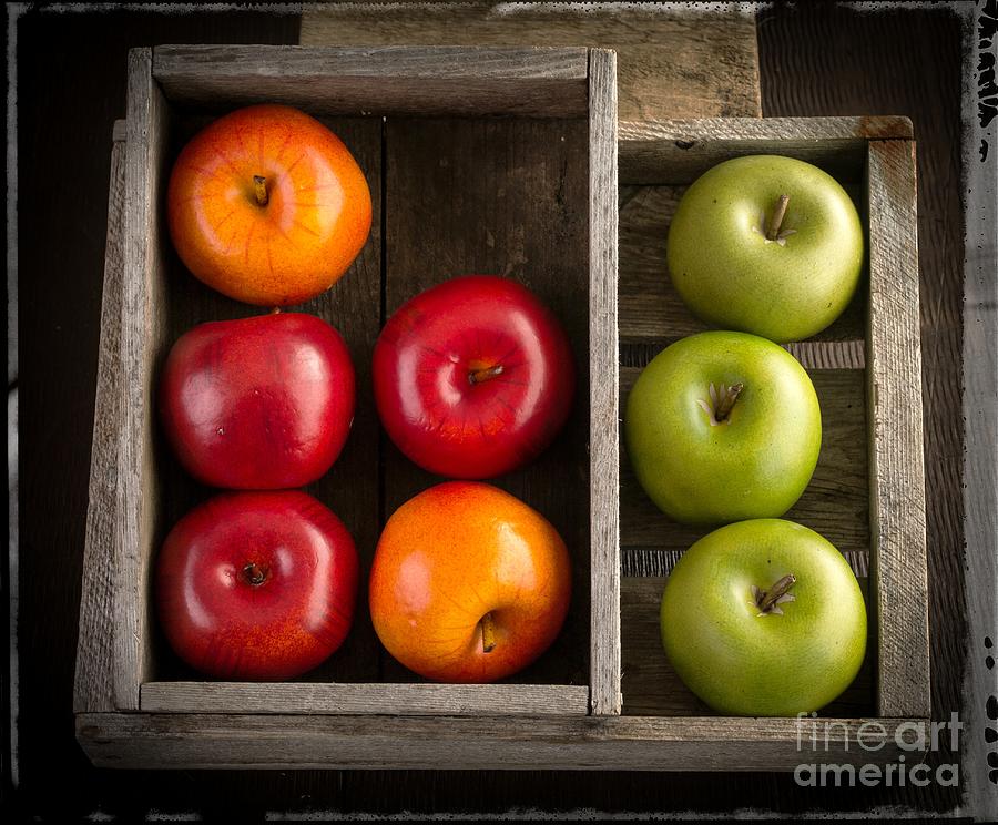 Apple Photograph - Apples by Edward Fielding