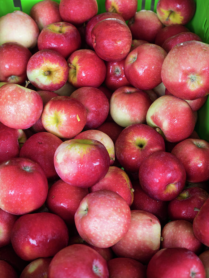 Apples For Sale At Street Market Photograph by Panoramic Images - Fine ...