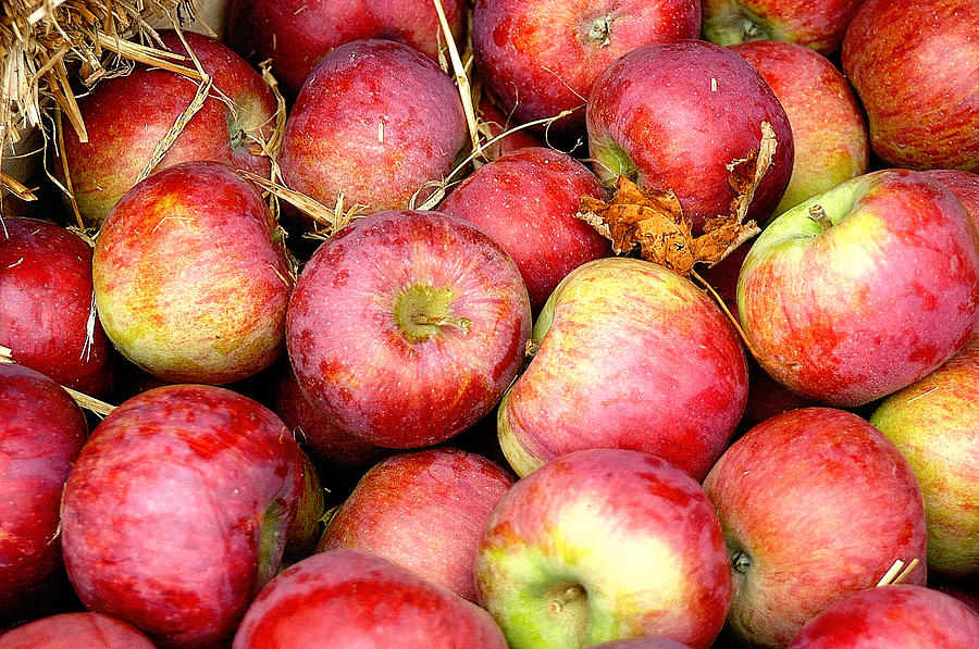 Apples Photograph by Geraldine Alexander