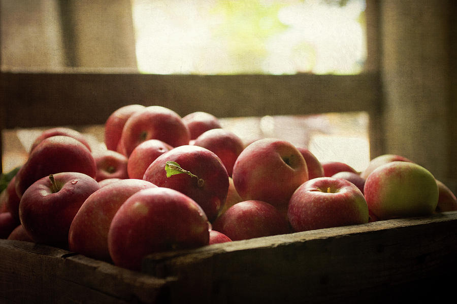 Apples In A Farm Box Photograph by Danielle Donders