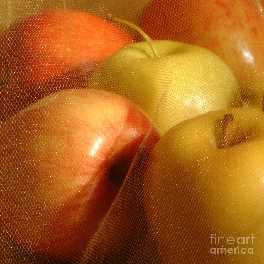 Still Life Photograph - Apples In A Net by Georgia Sheron