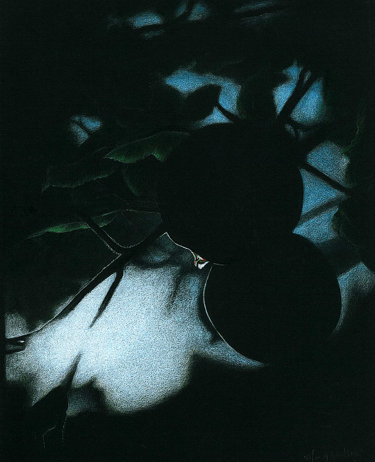 Nature Painting - Apples in Silhouette by Mandy Robertson