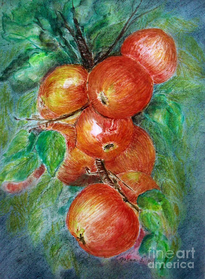 Apples Painting by Jasna Dragun
