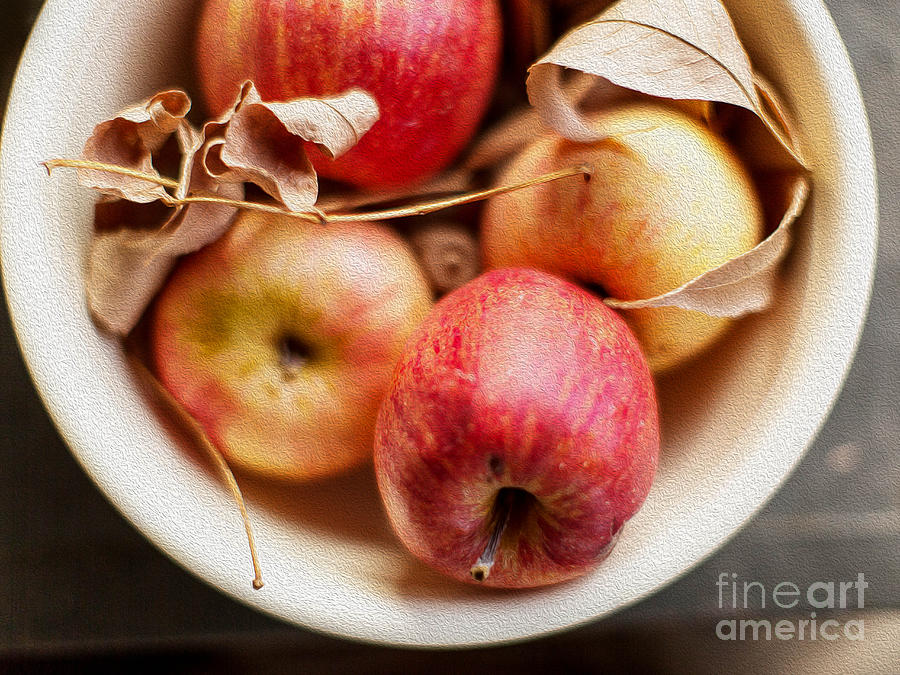 Apples Photograph by Rebecca Cozart