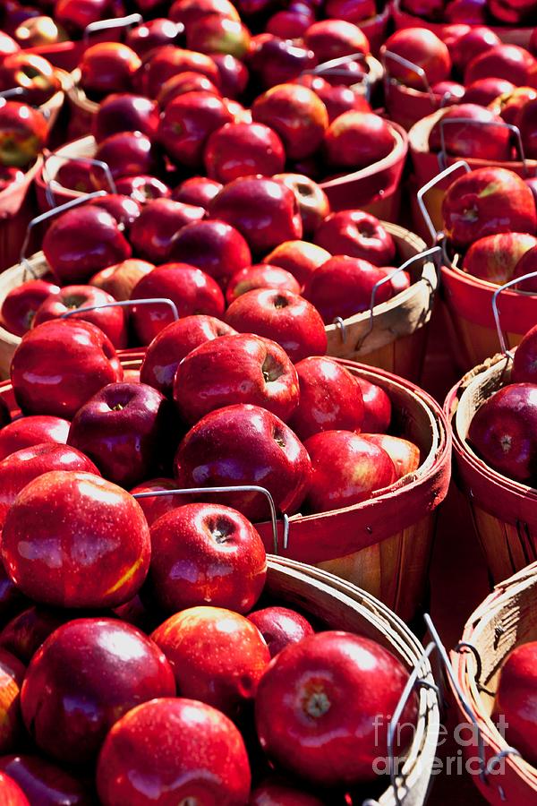 Apples Photograph by Richard Lynch
