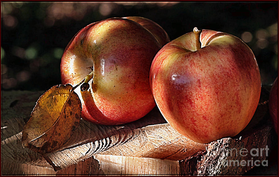 Apple Photograph - Two Apples by Luv Photography
