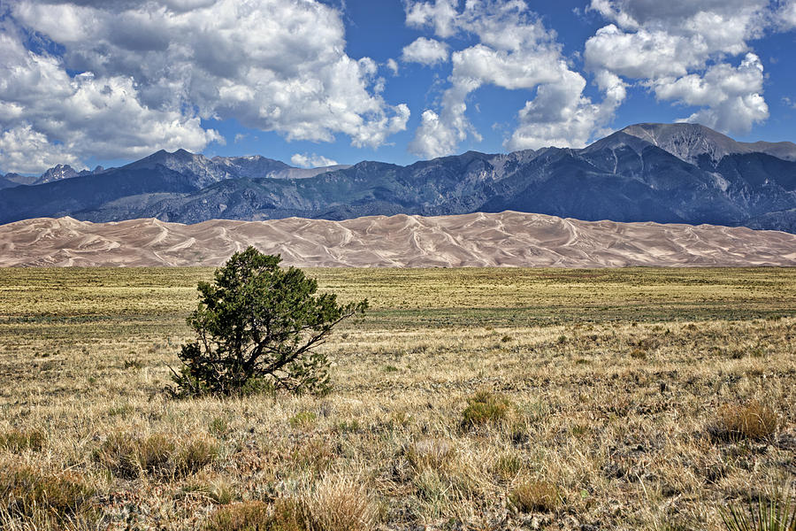 Mountain Photograph - Approaching Great Sand Dunes #2 by Nikolyn McDonald