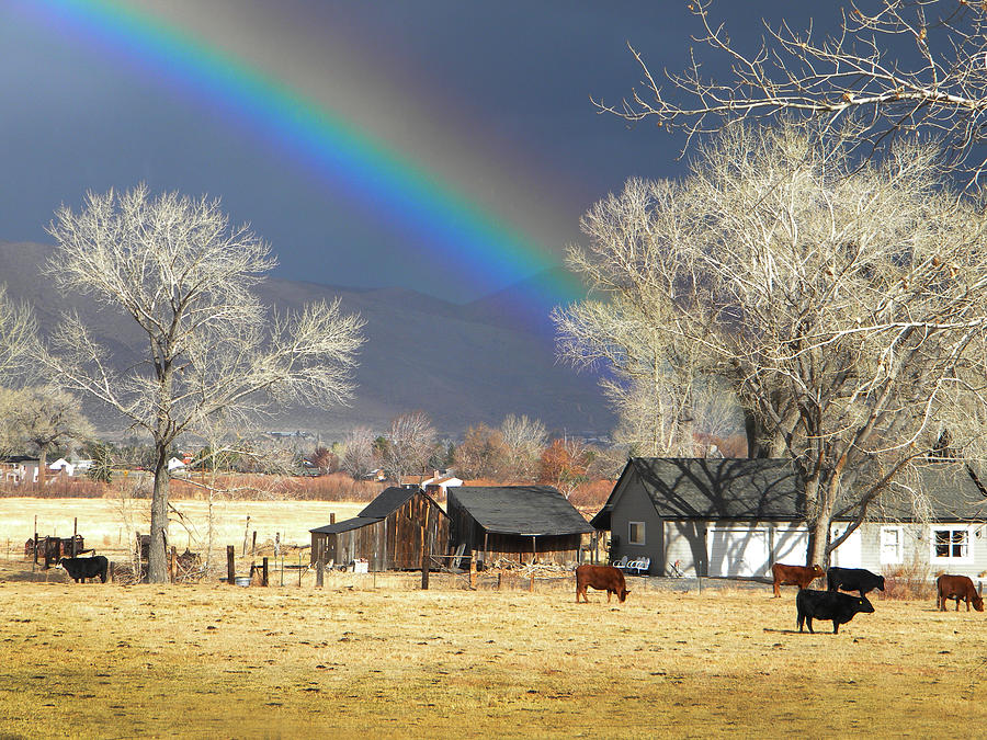 Approaching Storm At Cattle Ranch Photograph by Frank Wilson