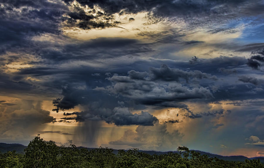 Tree Photograph - Approaching Storm by Douglas Barnard
