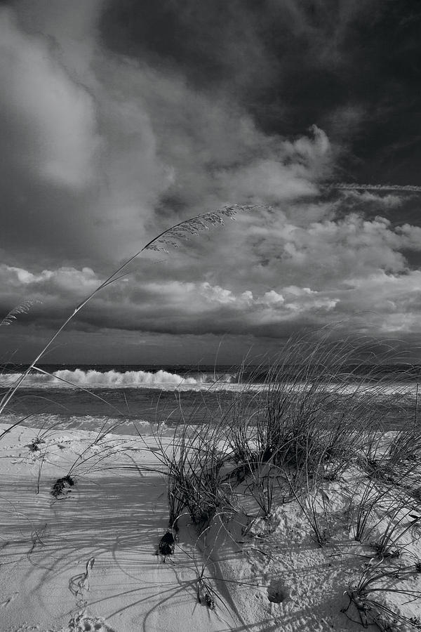 Approaching Storm Photograph by Trevor Daughtry | Fine Art America