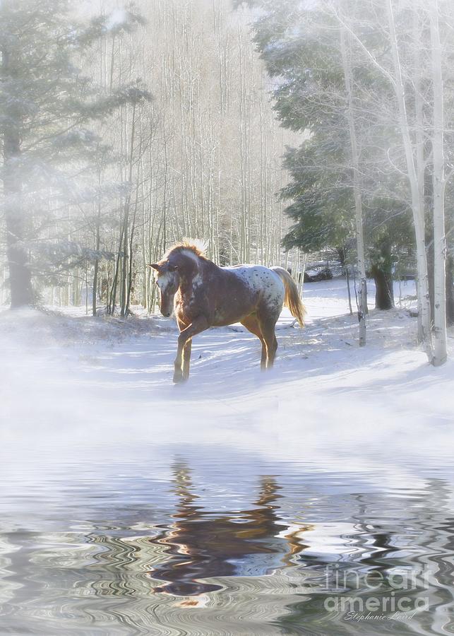 Winter Snow Horse and Reflection Photograph by Stephanie Laird