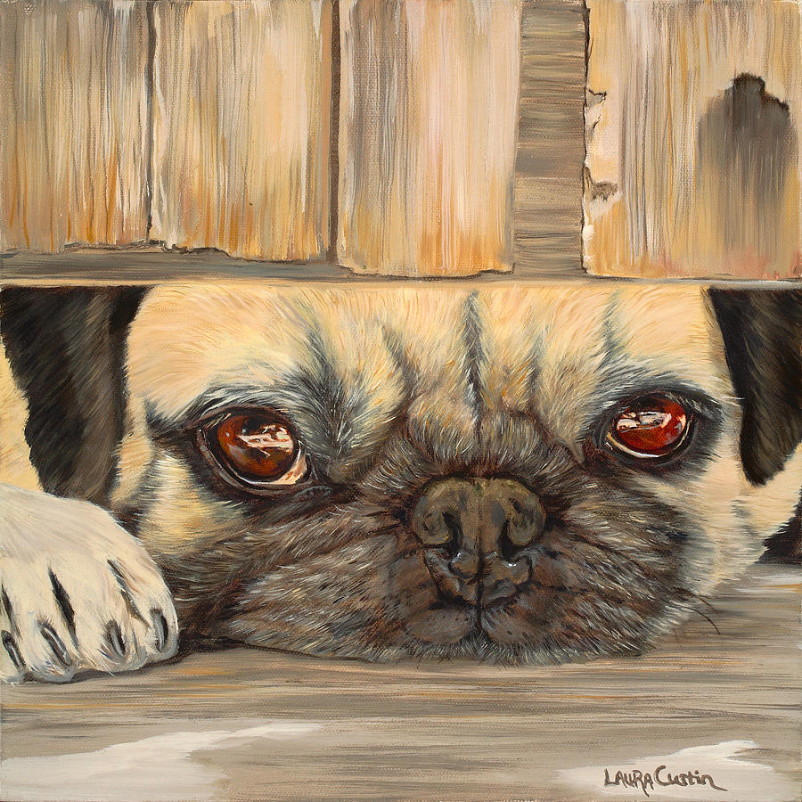 Dog Painting - Apricot Pie by Laura Curtin