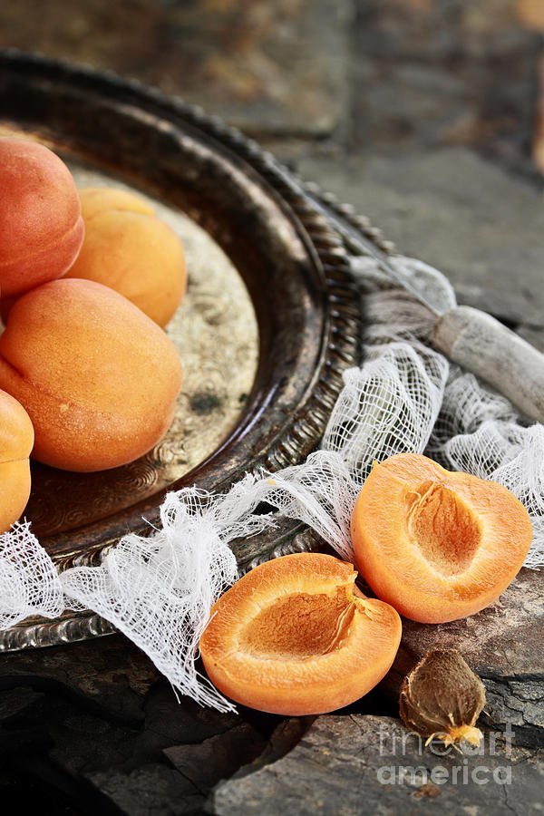Apricots Photograph by Stephanie Frey