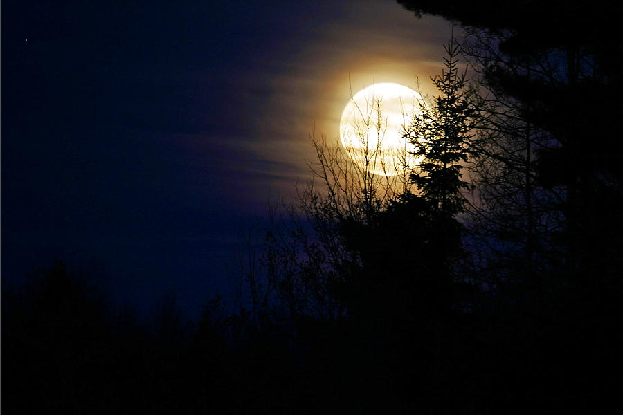 April 2013 Full Moon Photograph by Barbara West