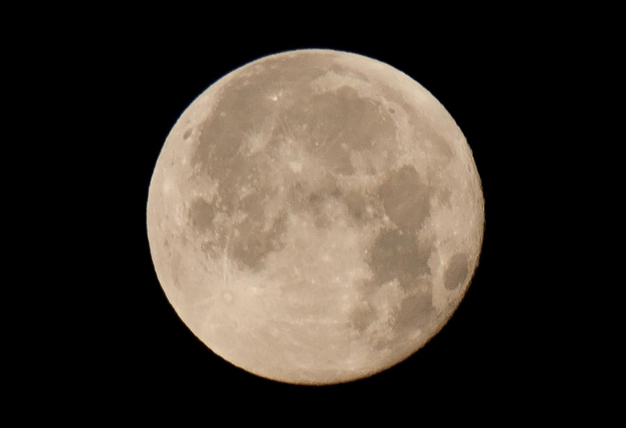 April Moon Photograph by John Black