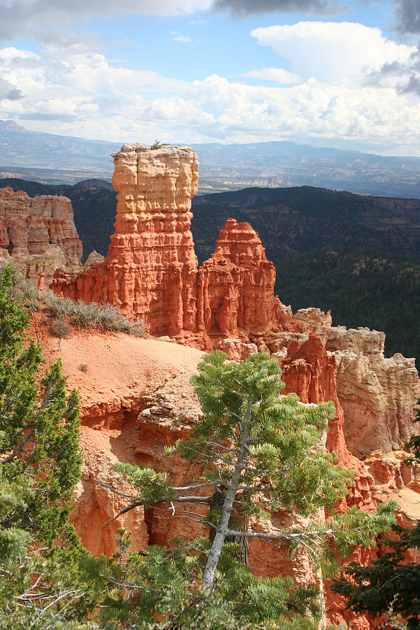 Bryce Canyon Photograph - Aqua Canyon III by Mary Gaines Bryce Canyon Photograph - Aqua Canyon III by Mary Gaines