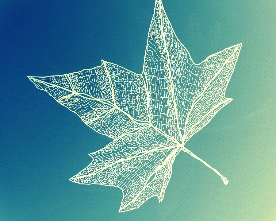 Aqua Leaf Study 4 Digital Art