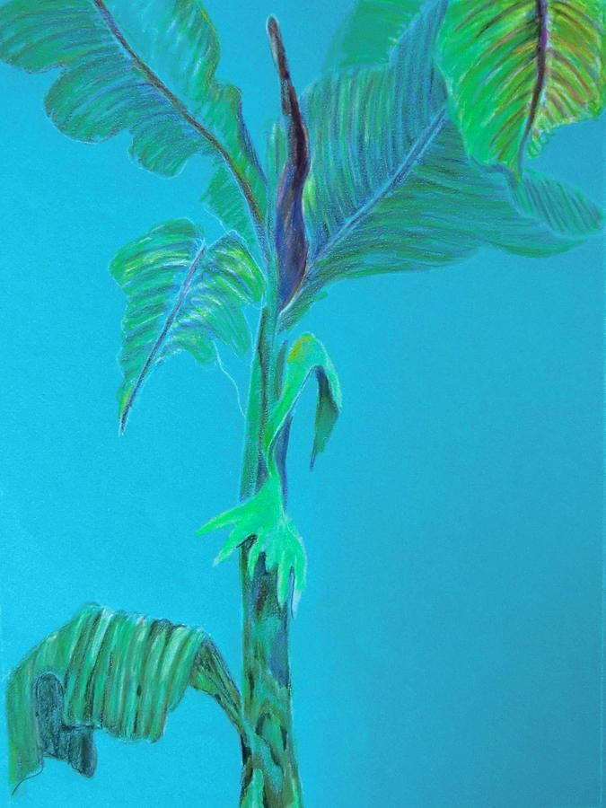 Tree Drawing - Aqua Palm by Mindy Newman