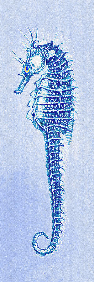 Aqua seahorse- Left Digital Art by Jane Schnetlage