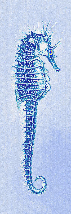 Aqua Seahorse- Right Facing Digital Art by Jane Schnetlage