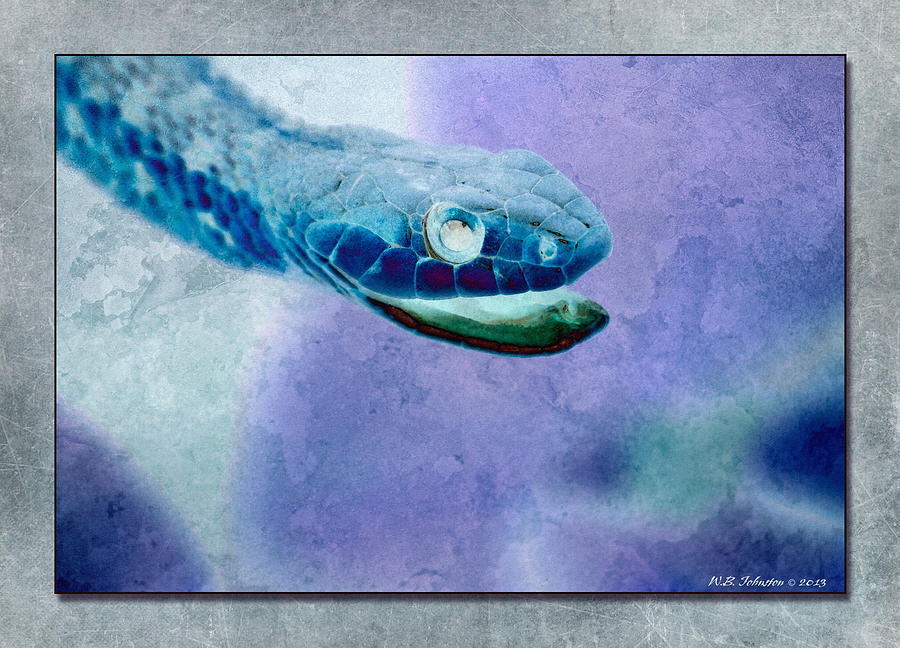 Aqua Serpent 3 Photograph by WB Johnston