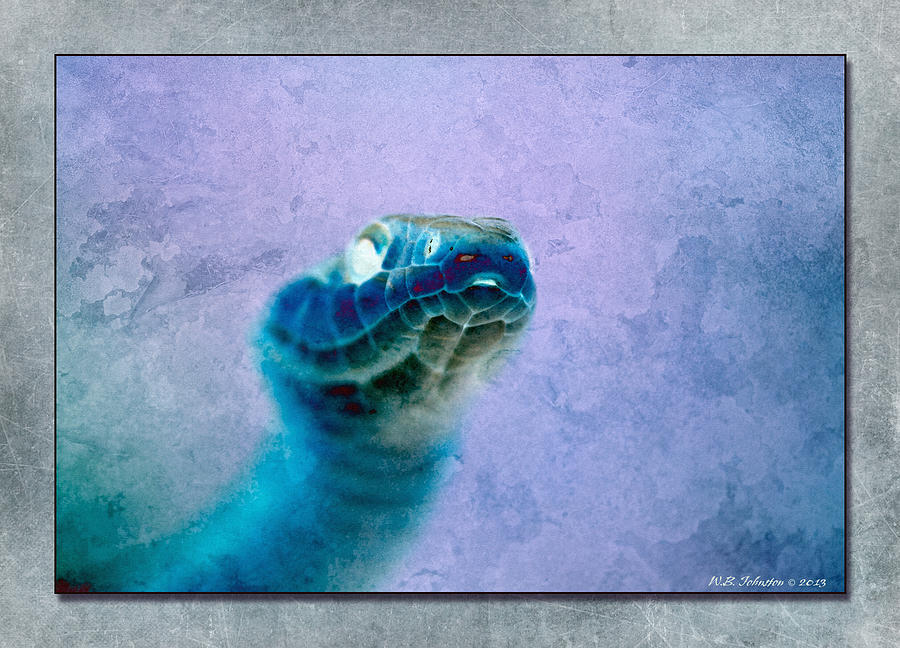 Aqua Serpent 4 Photograph by WB Johnston